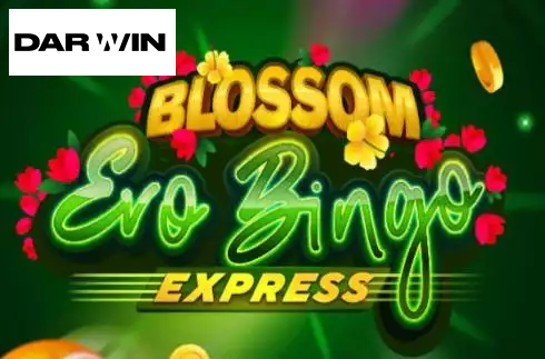 Blossom Evobingo Express